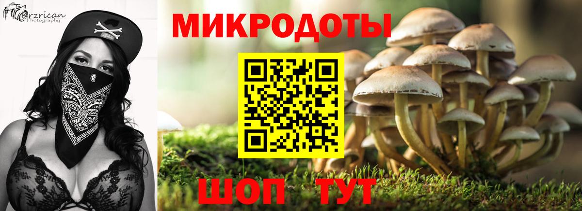Галлюциногенные грибы Psilocybe  Вход с VPN  Корсаков  хочу наркоту  Псилоцибиновые грибы прущие грибы 